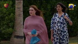 Tauba - Episode 68 - 23rd December 2024